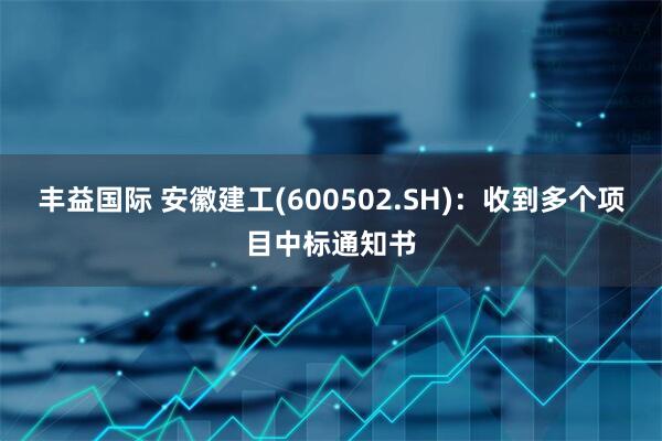 丰益国际 安徽建工(600502.SH)：收到多个项目中标通知书