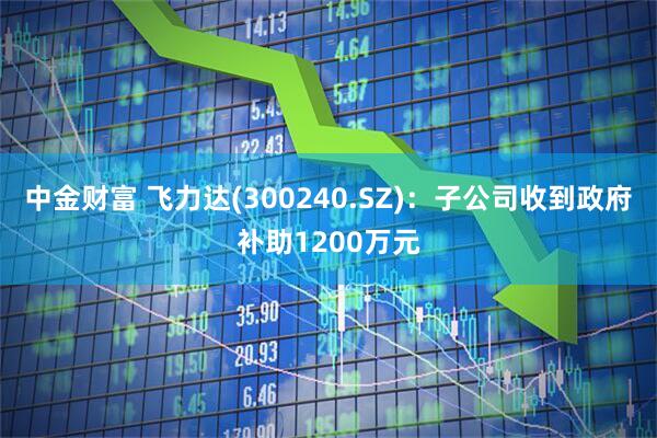 中金财富 飞力达(300240.SZ)：子公司收到政府补助1200万元