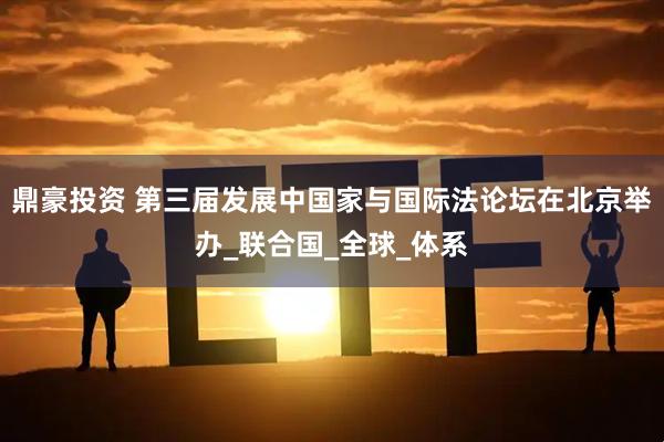 鼎豪投资 第三届发展中国家与国际法论坛在北京举办_联合国_全球_体系