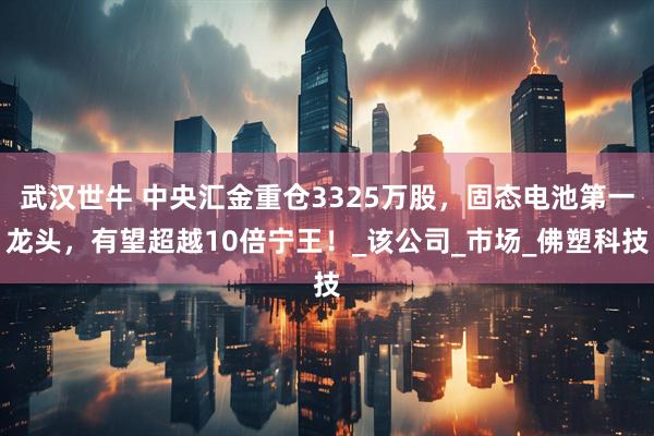 武汉世牛 中央汇金重仓3325万股，固态电池第一龙头，有望超越10倍宁王！_该公司_市场_佛塑科技