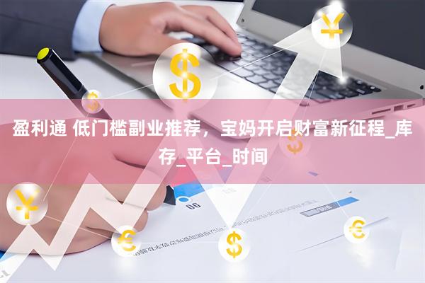 盈利通 低门槛副业推荐，宝妈开启财富新征程_库存_平台_时间