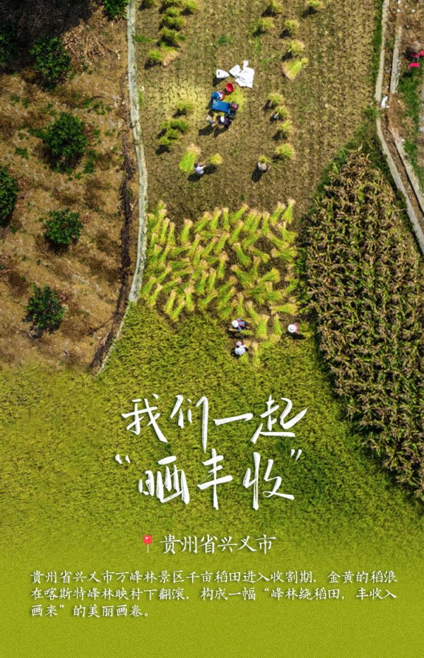 富牛网 稻花香里说丰年！高清大图邀您共赏华夏“丰”光