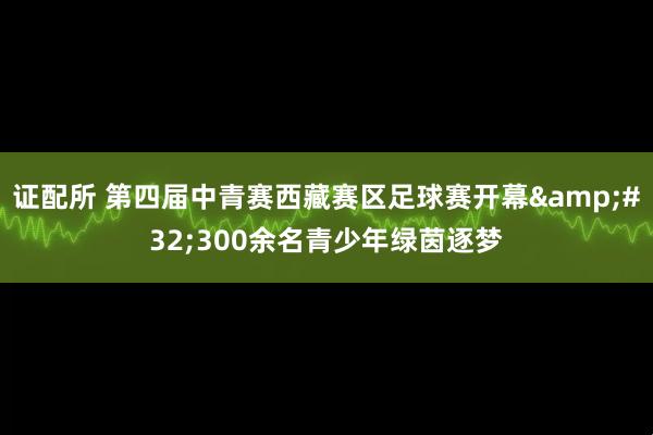 证配所 第四届中青赛西藏赛区足球赛开幕 300余名青少年绿茵逐梦