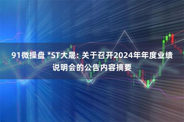91微操盘 *ST大晟: 关于召开2024年年度业绩说明会的公告内容摘要